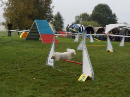 Les Concours