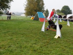 Les Concours