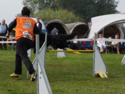 Les Concours