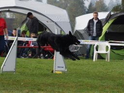 Les Concours