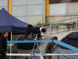 Les Concours