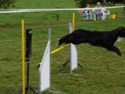 Les Concours