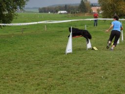 Les Concours