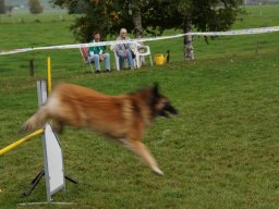 Les Concours