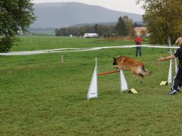 Les Concours